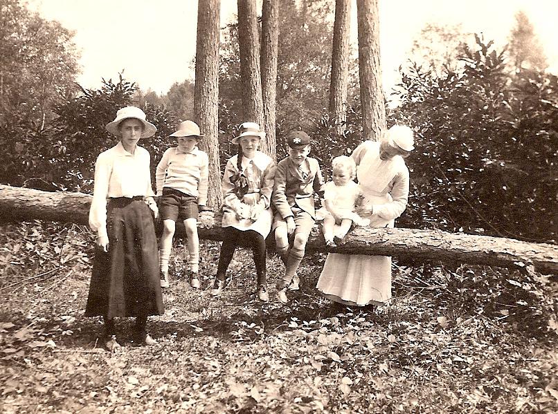 In Consley Wood, June 1918